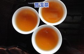 普洱罗东宝：深度解析茶叶制作工艺与品质特性