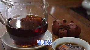 普洱罗东宝：深度解析茶叶制作工艺与品质特性