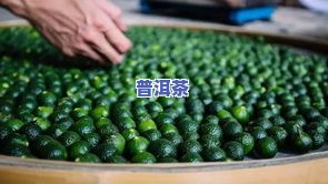 普洱茶品种特点解析：熟悉其特别的口感、香气和保健功效