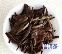 普洱茶品种特点-普洱茶品种特点介绍