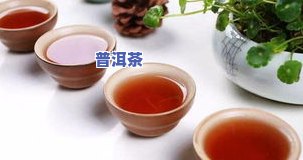 概括普洱茶和产地的句子：了解独特的茶叶文化