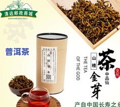 黄金芽茶叶真的能减肥吗？女性如何正确饮用？一文了解黄金芽茶叶与减肥的关系