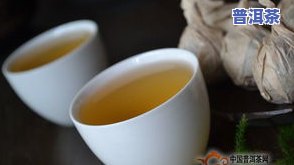 普洱茶有多少个品种图片-普洱茶有多少个品种图片大全