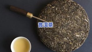 普洱茶白茶饼更佳冲泡方法及区别介绍