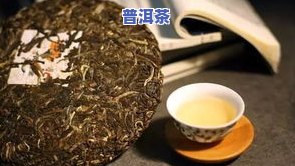 什么普洱茶降脂好？比较评价告诉你