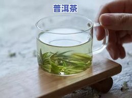 长龙绿茶多少钱一盒？了解其价格与品种特性