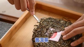 什么样的普洱茶饼更好？从口感、品质、外观到使用方法全解析！