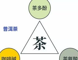 茶叶里的单宁物质：含义、作用与分布