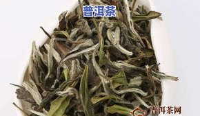 普洱茶与老白茶比较：有何区别？哪种功效更好？