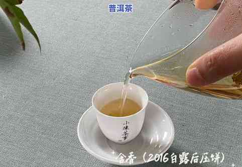 普洱茶与老白茶比较：有何区别？哪种功效更好？