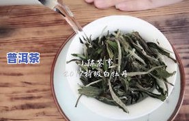 老白茶和普洱茶能一起存放吗？冰箱中可以吗？可否一起煮？全面解析