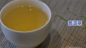 临沧古树普洱茶海拔多少米高，揭秘临沧古树普洱茶的生长环境：海拔高度解析