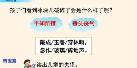 普洱茶课程安排：全面学习普洱茶系列课程、培训课程、课件与知识讲座视频