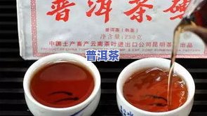 普洱茶种类名称大全：了解普洱茶的各种品种及其特点