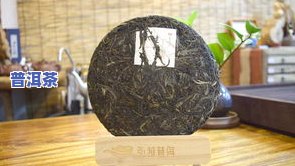 普洱茶种类名称大全：了解普洱茶的各种品种及其特点