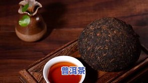 普洱茶种类名称大全：了解普洱茶的各种品种及其特点