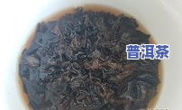 醇朴普洱茶-醇品普洱茶