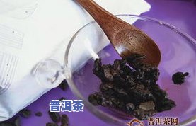 醇朴普洱茶-醇品普洱茶