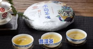 醇朴普洱茶-醇品普洱茶