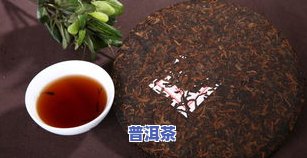 全面解析景迈普洱茶的口感特点与苦涩程度