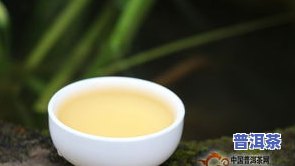 普洱茶成熟时间：季节、产期与持续时间全解析