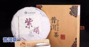 普洱茶的拼配：种类、方法与全方位解析