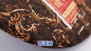 黑龙江陈皮普洱茶批发厂家-黑龙江陈皮普洱茶批发厂家电话