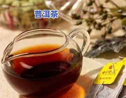 普洱茶自学拼法-普洱茶自学拼法教程