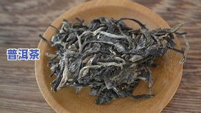 易武普洱是生茶还是熟茶？功效与作用解析