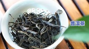 易武普洱是生茶还是熟茶？功效与作用解析