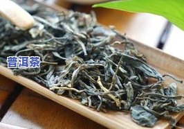 易武普洱是生茶还是熟茶？功效与作用解析