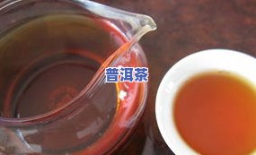 大雪普洱茶-大雪普洱茶介绍