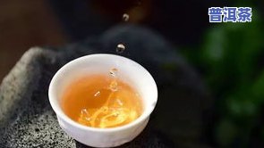 大雪普洱茶-大雪普洱茶介绍