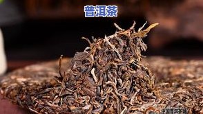 整理仓库普洱茶-整理仓库普洱茶图片