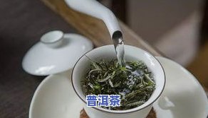 哪种茶叶喝起来比较清香？绿茶、白茶还是乌龙茶？口感鲜美，清新宜人！