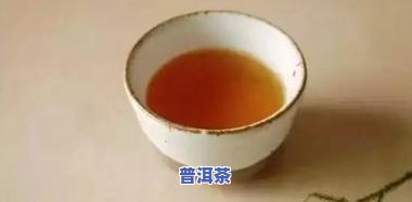 新和普洱茶-新普洱和老普洱哪个好