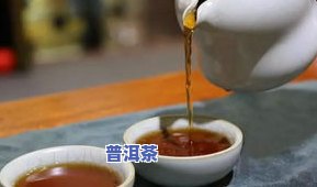 新和普洱茶-新普洱和老普洱哪个好