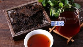 掌上普洱茶：一站式购茶平台，海量优质普洱茶品在线选购！