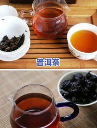 哪几个茶厂的普洱茶好-哪几个茶厂的普洱茶好喝