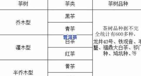 怎样炒作普洱茶叶：从基础知识到实战技巧的全面指南