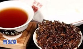 龙华普洱茶-普洱龙华饭店