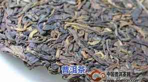 檽香普洱茶：种类、作用及功效大全