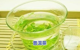 普洱茶和绿茶：内含物质对比及原因解析