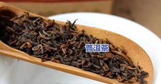 香脆普洱茶-普洱茶香甜醇厚滑