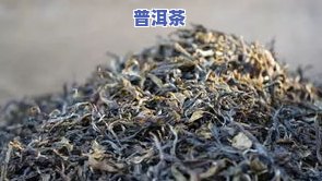 老帕卡是生茶还是熟茶？探讨其属性与功效