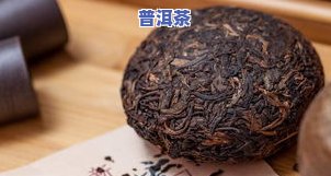 探究勐海普洱茶的独特口感及其品种特性