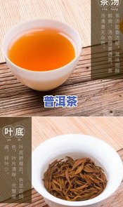 泰然红茶特价十五元：真实优惠还是虚假宣传？探讨泰然大红袍起源故事