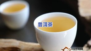 竹竿普洱茶-竹筒普洱茶