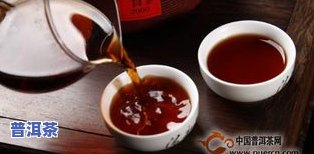 普洱茶青茶价格-普洱茶青茶价格表