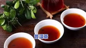 常见普洱茶文献-常见普洱茶文献有哪些